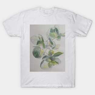 White orchids watercolour painting T-Shirt